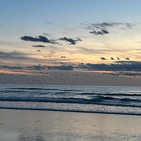 Chambre D Hote A La Plage De 15 M2 Le Manapany Camiers Exteriör bild